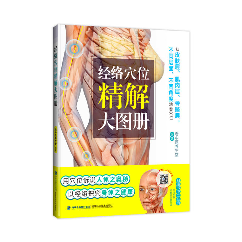 ��(j��ng)�j(lu��)Ѩλ�����D��(c��)������Ƥ�w����������������Ӿ���(x��)���xѨλ