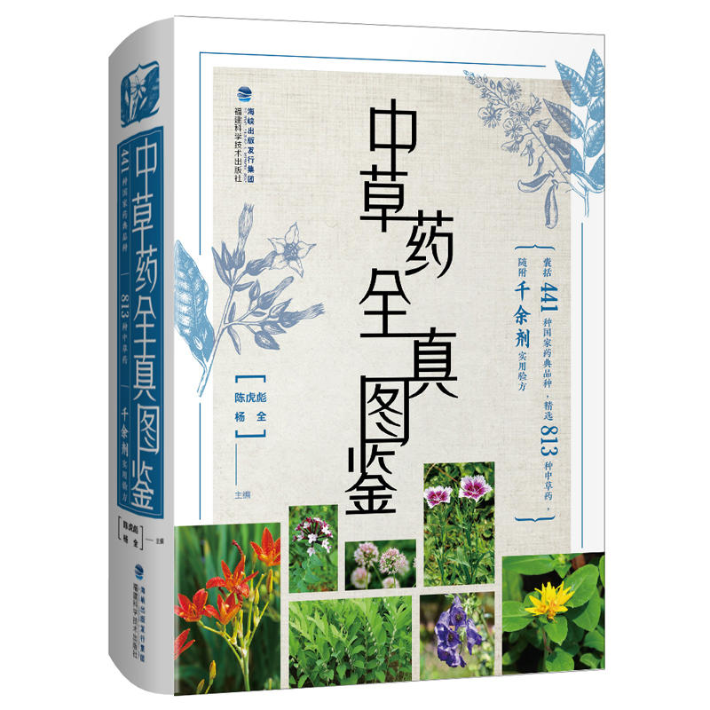 �в�ˎȫ��D�b