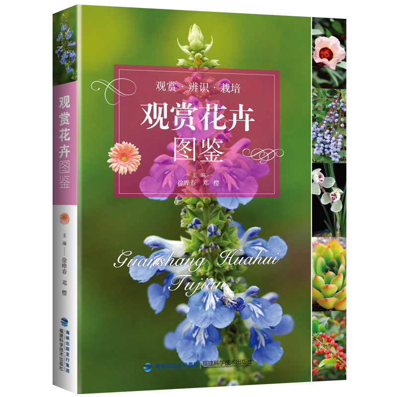 �^(gu��n)�p���܈D�b