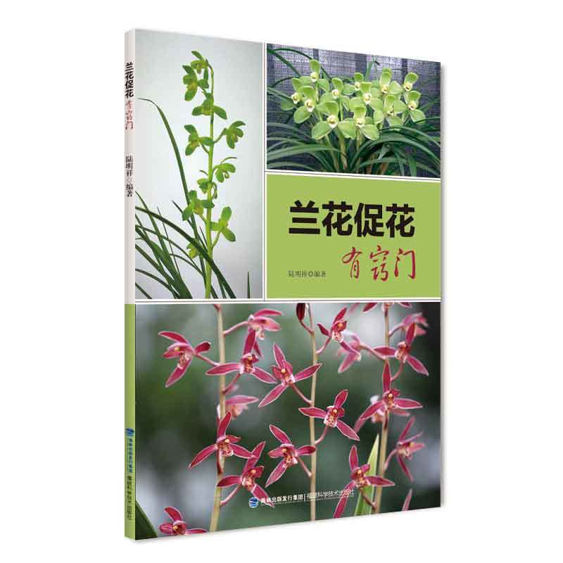 �m���ٻ��и[�T