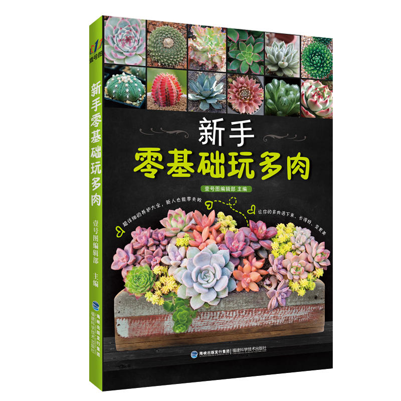 ��������A(ch��)�����