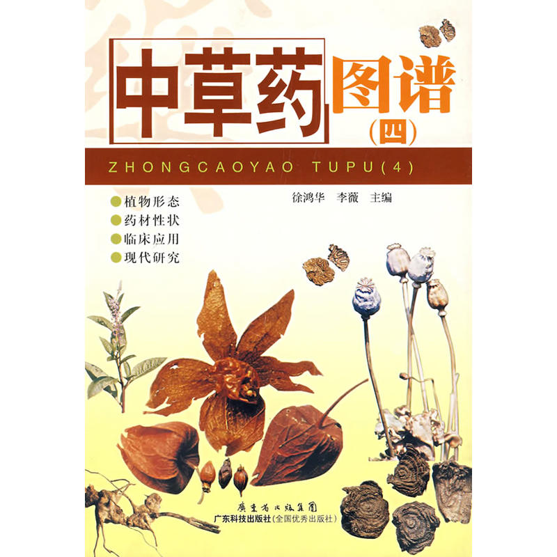 �в�ˎ�D�V���ģ�