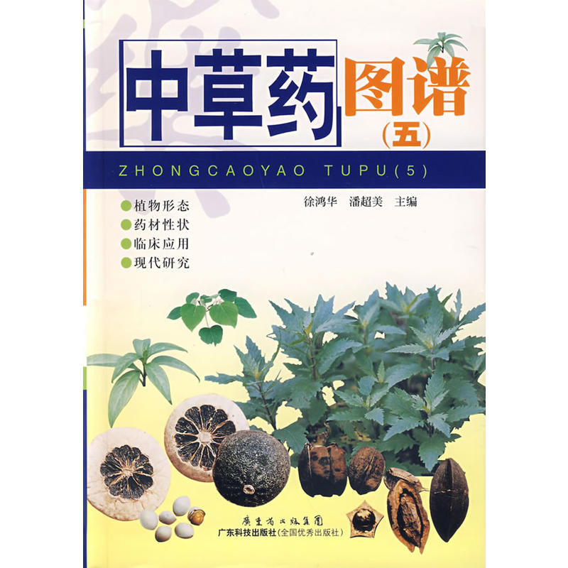 �в�ˎ�D�V���壩