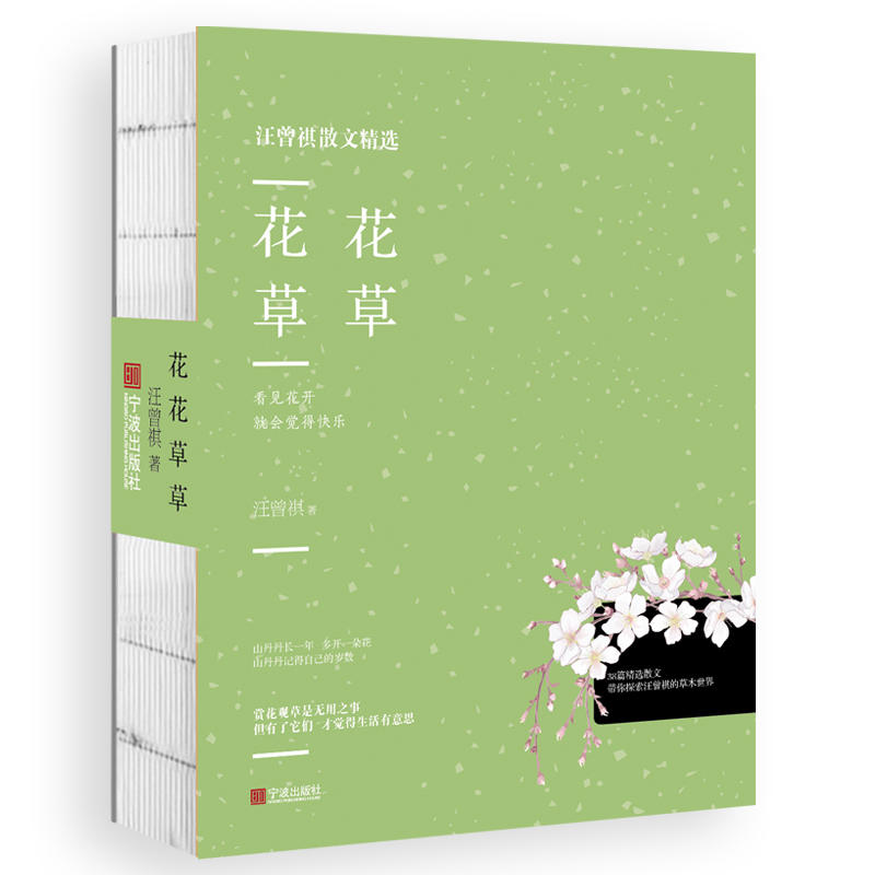 �����ݲ�