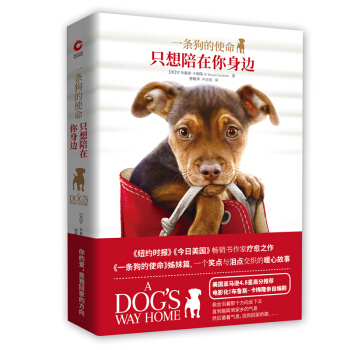 һ�l����ʹ����ֻ����������߅