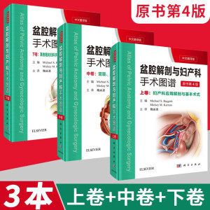 ��ǻ�����c�D�a(ch��n)�����g(sh��)�D�V �Ͼ������ķ��g�� ��4�棩