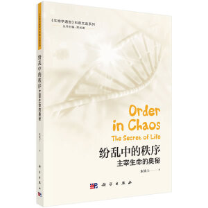 ���y�е��������������ĊW��