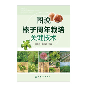 �D�f(shu��)������������P(gu��n)�I���g(sh��)