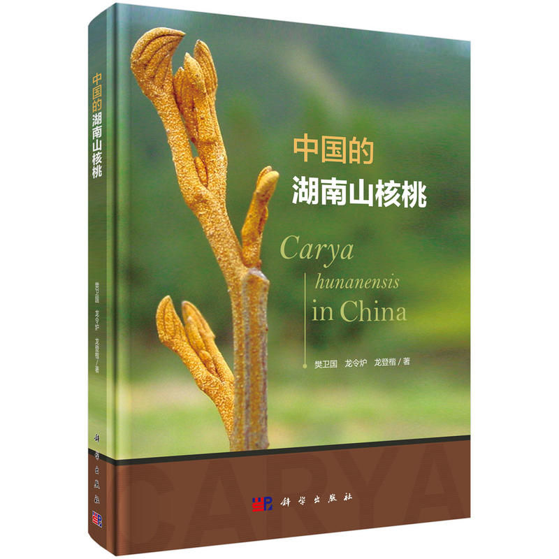 �Ї��ĺ���ɽ����