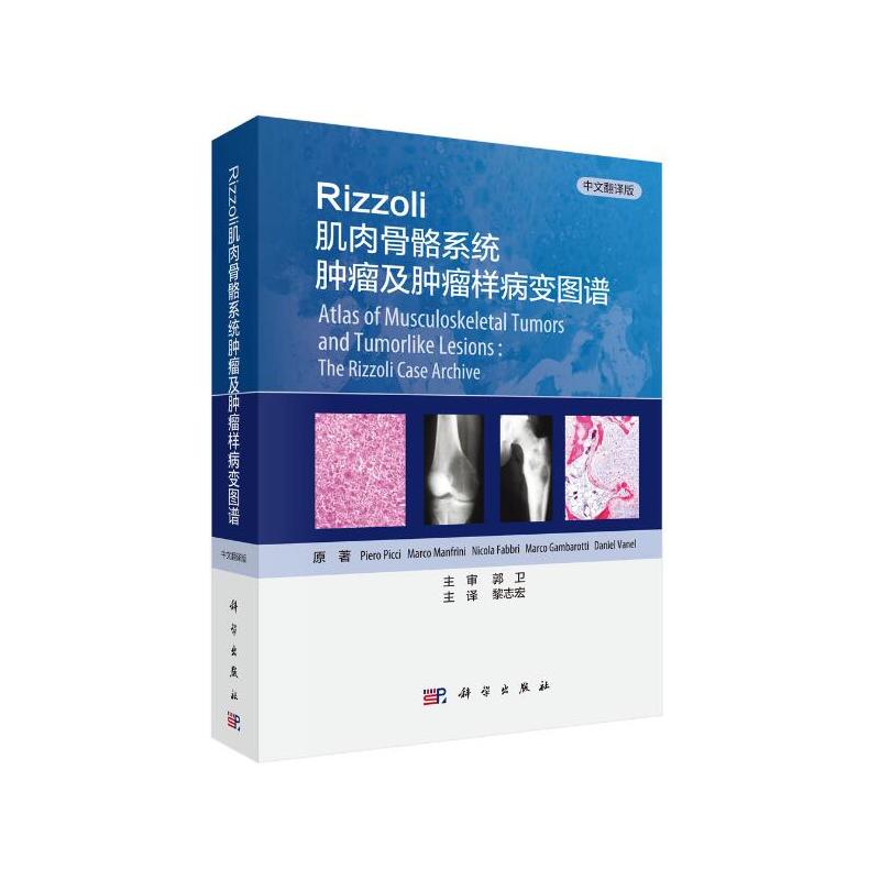 Rizzoli�������ϵ�y(t��ng)�[�����[���Ӳ�׃�D�V�����ķ��g�棩