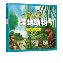 ׌�������Եĵ�һ����Ȼ�n������؄���