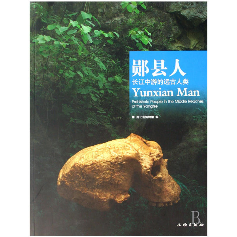 �y�h�ˣ��L�����ε��h�����(ƽ)