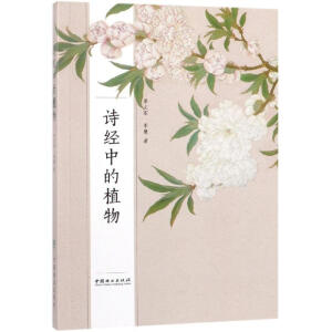 Ԋ(sh��)��(j��ng)�е�ֲ��