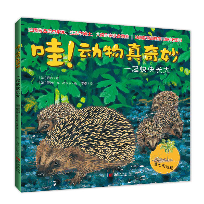 ������(d��ng)��������:һ�����L��