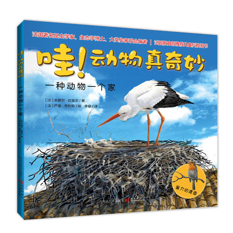 �ۣ�����������:һ�N����һ����