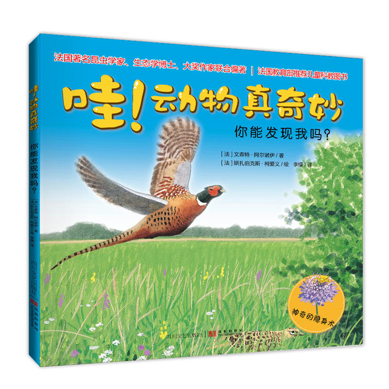 ������(d��ng)��������:���ܰl(f��)�F(xi��n)�҆���