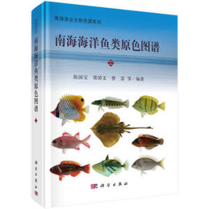 �Ϻ������~�ԭɫ�D�V������