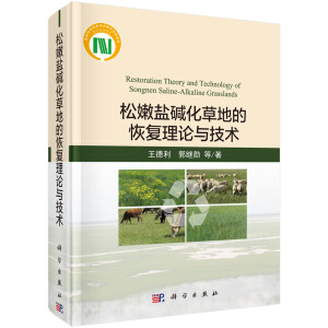 �����}�A���ݵصĻ֏�(f��)��Փ�c���g(sh��)