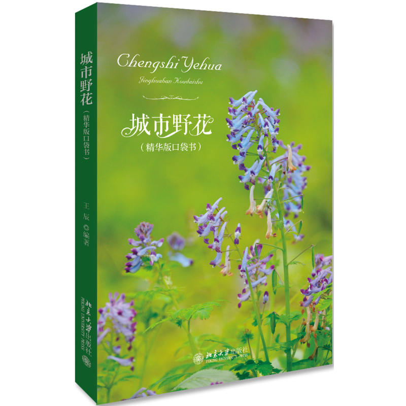 ����Ұ�������A��ڴ�����