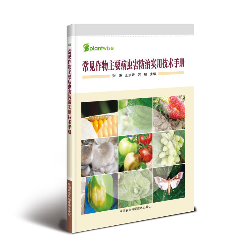 ��Ҋ(ji��n)������Ҫ���x(ch��ng)�����Ό�(sh��)�ü��g(sh��)�փ�(c��)