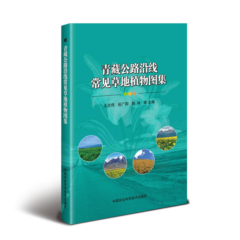 ��ع�·�ؾ���Ҋ(ji��n)�ݵ�ֲ��D��