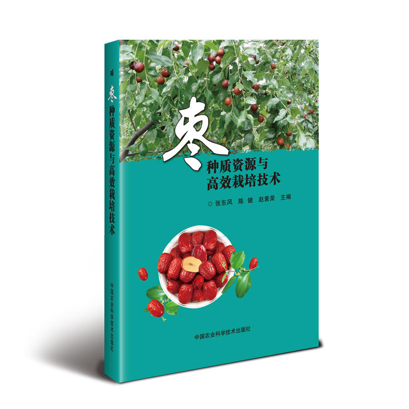 ���N�|(zh��)�YԴ�c��Ч���༼�g(sh��)