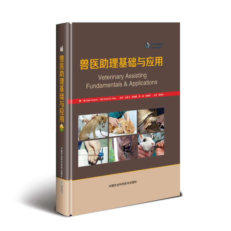 �F�t(y��)�������A�c����