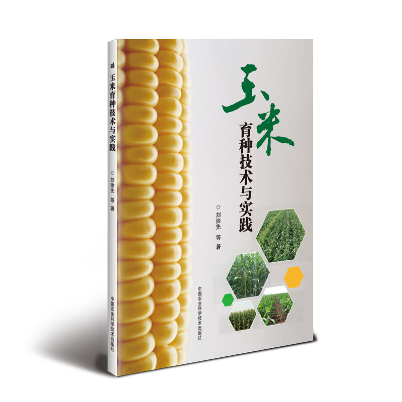 �������N���g�c���`