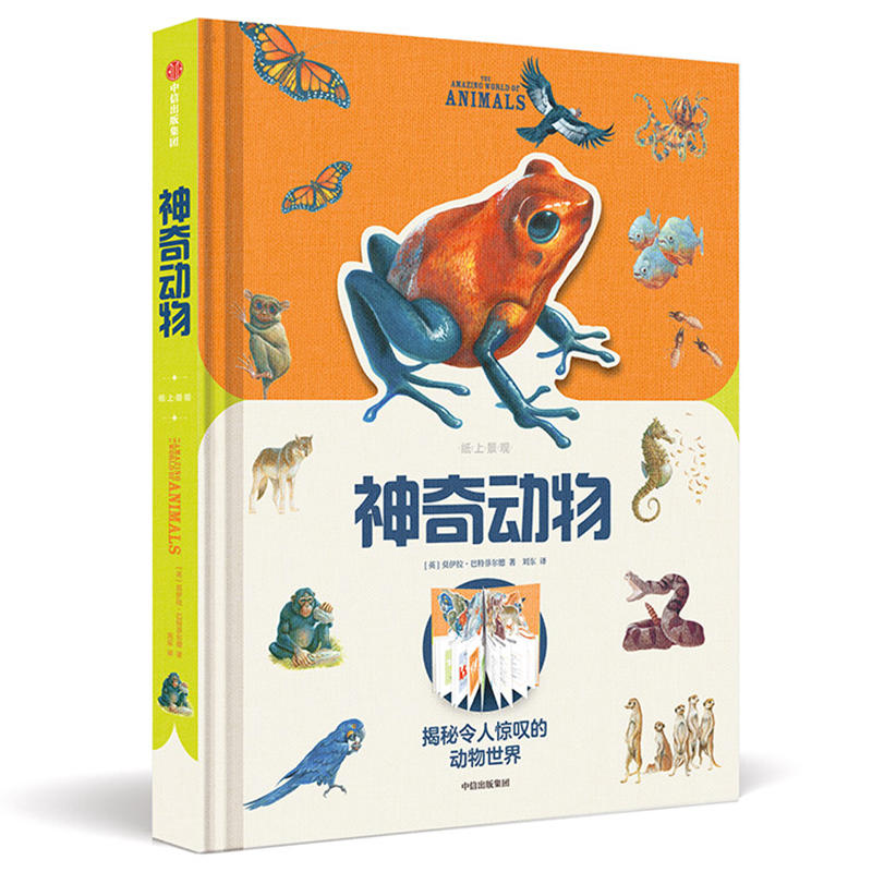 ���Ͼ��^���������