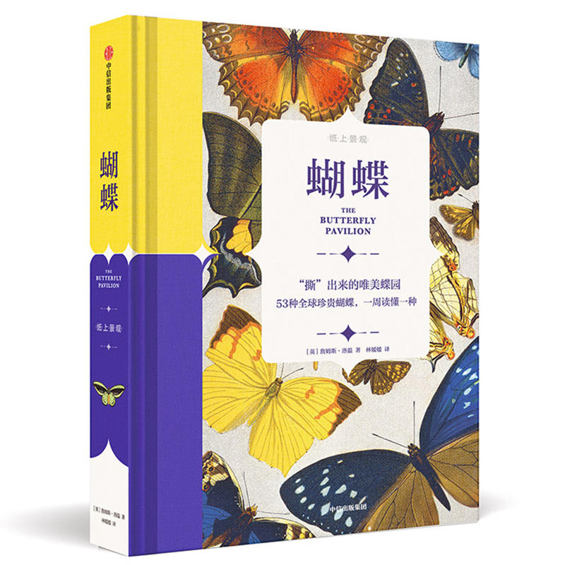 ���Ͼ��^������