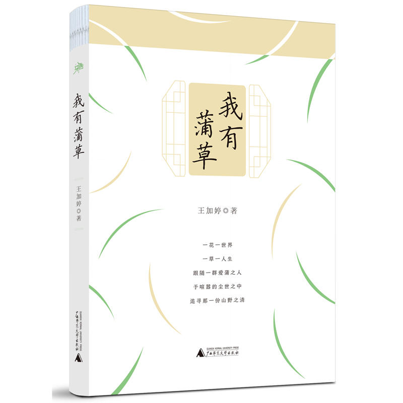 �Ż��ϵ�������Ѳ�