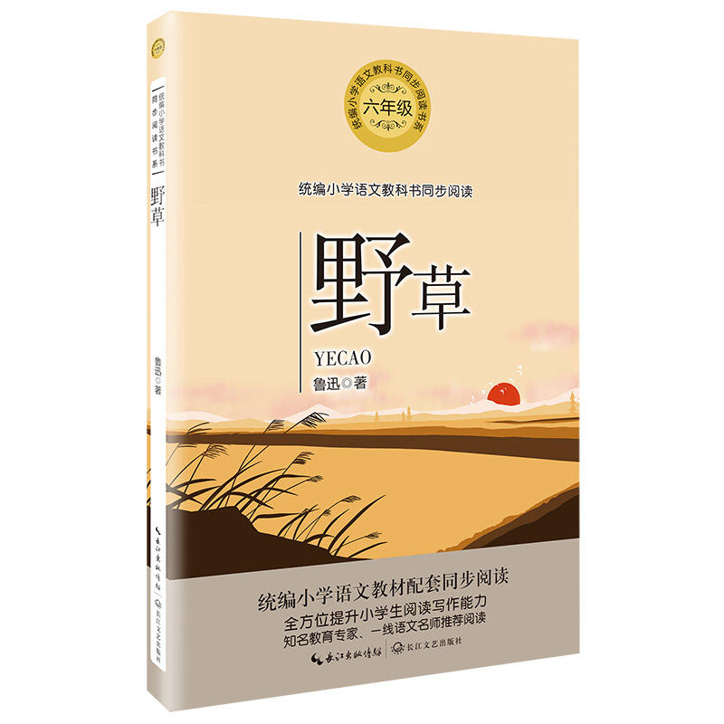 Ұ�ݣ��y(t��ng)��С�W(xu��)�Z�Ľ̿ƕ�ͬ����x��ϵ��