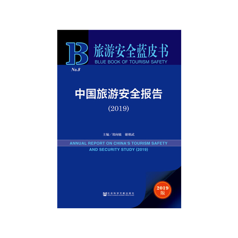 ���ΰ�ȫ�{(l��n)Ƥ��(sh��)���Ї�(gu��)���ΰ�ȫ��(b��o)�棨2019��