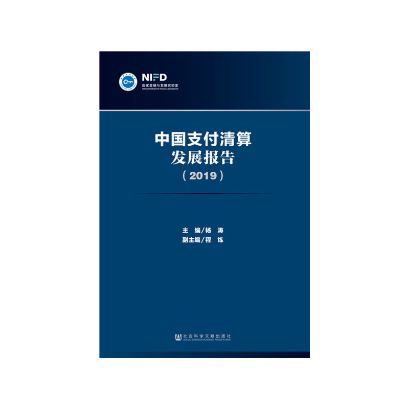 �Ї�֧������l(f��)չ��棨2019��