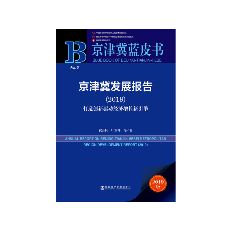 �����{(l��n)Ƥ�������򼽰l(f��)չ��(b��o)�棨2019��