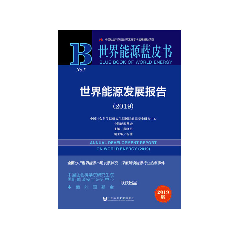 ������Դ�{(l��n)Ƥ��:������Դ�l(f��)չ��(b��o)�棨2019��