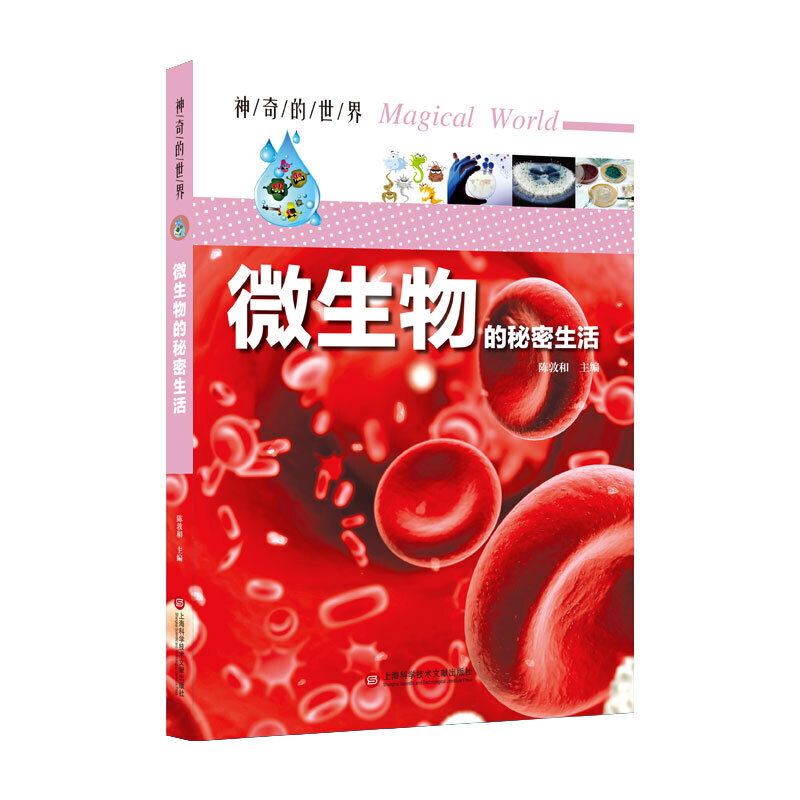 ��������硪��΢������������ȫ�ʈD��棩