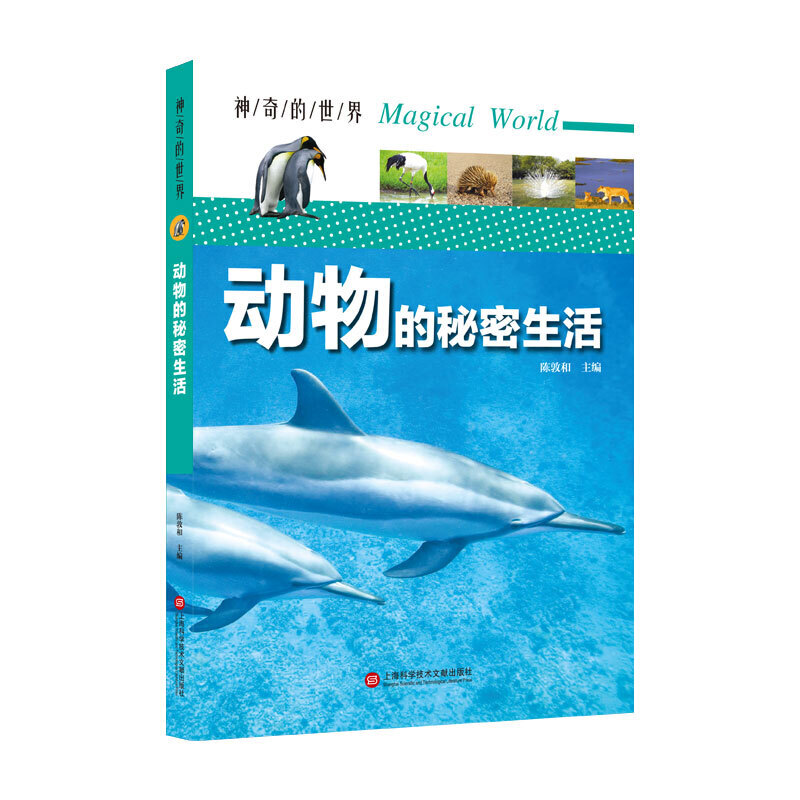 ��������硪��������������ȫ�ʈD��棩