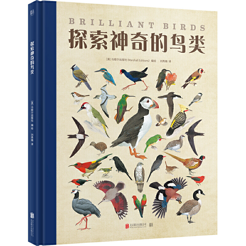 ̽��������B�