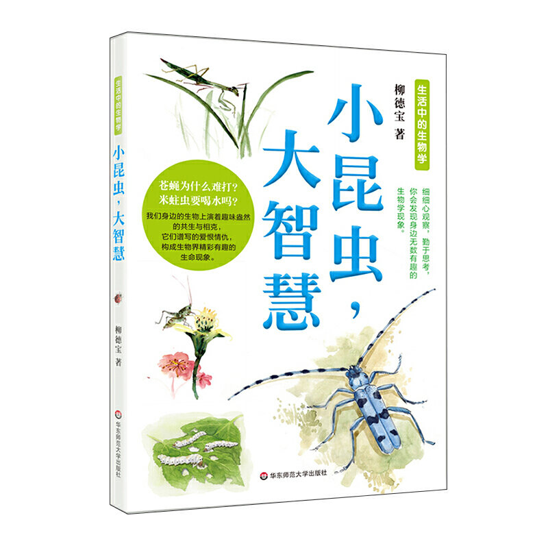 С���x�����ǻ�