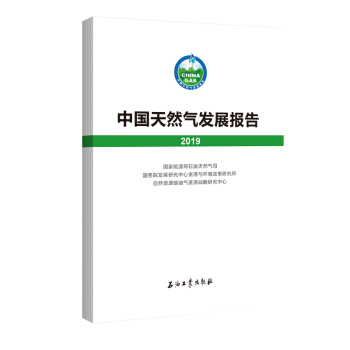 �Ї�(gu��)��Ȼ��l(f��)չ��(b��o)�棨2019��