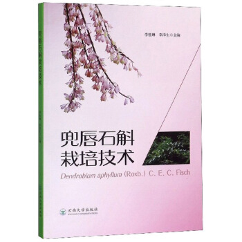 ����ʯ�����༼�g(sh��)