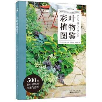 ���~ֲ��D�b