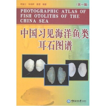 �Ї�(gu��)��(x��)Ҋ�����~�ʯ�D�V����1݋��