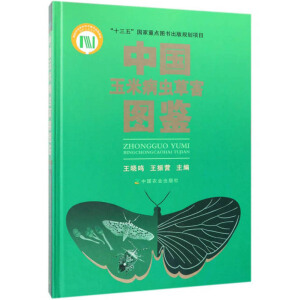 �Ї�(gu��)���ײ��x(ch��ng)�ݺ��D�b����ʮ���塱��(gu��)�����c(di��n)�D��(sh��)����Ҏ(gu��)���(xi��ng)Ŀ��