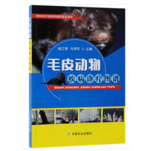 ëƤ���Ｒ���\���D�V