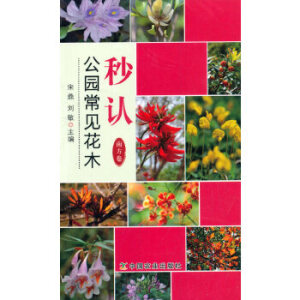 ���J���@��Ҋ��ľ���Ϸ�����