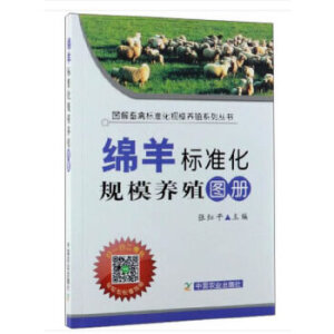 �d��˜ʻ�Ҏ(gu��)ģ�B(y��ng)ֳ�D��