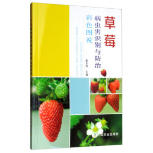 ��ݮ���x(ch��ng)���R(sh��)�e�c���β�ɫ�D�f(shu��)