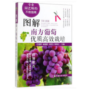 �D���Ϸ����у�(y��u)�|(zh��)��Ч����